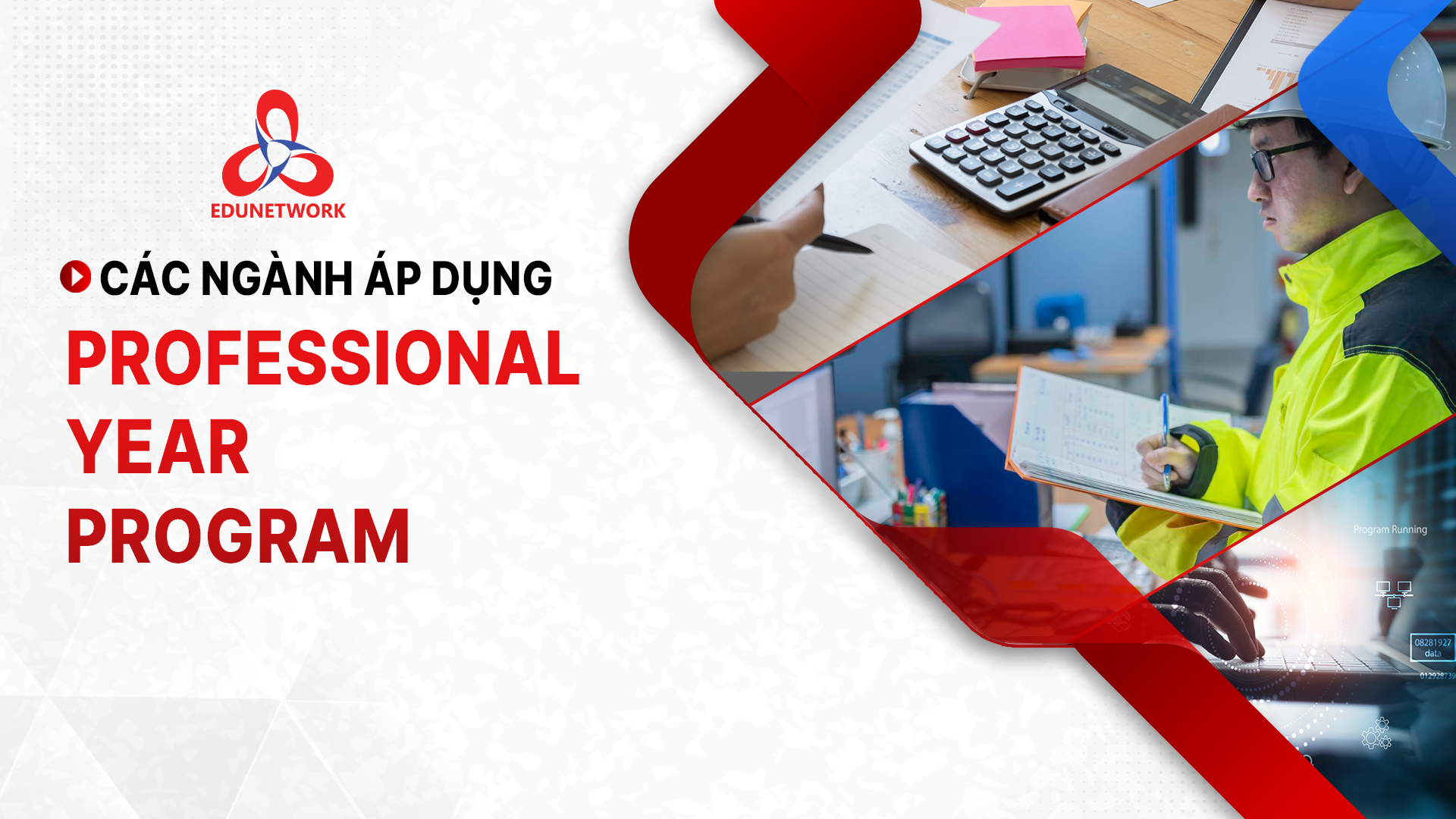 cac nganh nghe ap dung professional year program